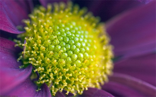 挖掘机行走齿轮拆,挖掘机行走时无法行走或无法挖土