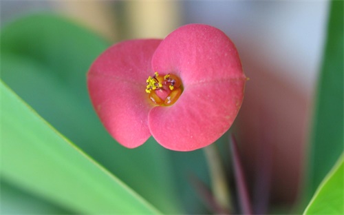 挖掘机行走齿轮拆,挖掘机行走时无法行走或无法挖土