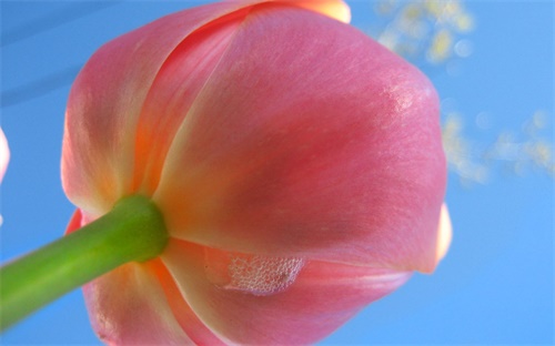 挖掘机行走齿轮拆,挖掘机行走时无法行走或无法挖土