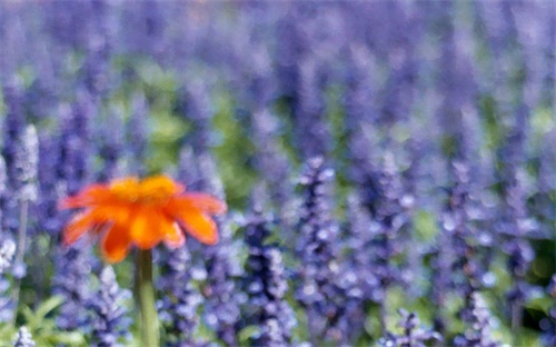 挖掘机行走齿轮拆,挖掘机行走时无法行走或无法挖土