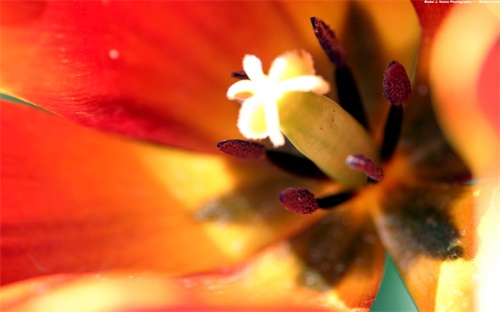 挖掘机行走齿轮拆,挖掘机行走时无法行走或无法挖土