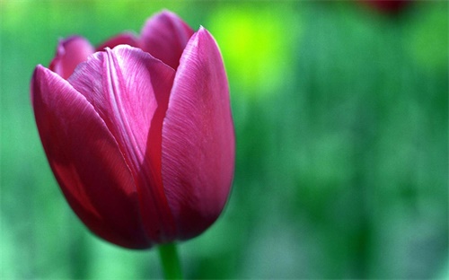 挖掘机行走齿轮拆,挖掘机行走时无法行走或无法挖土