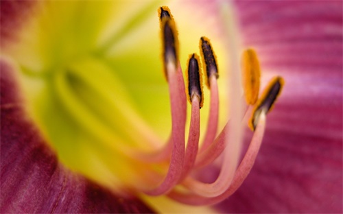 挖掘机行走齿轮拆,挖掘机行走时无法行走或无法挖土