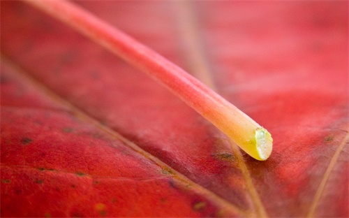 挖掘机粉碎铲斗视频,挖掘机破碎锤使用技巧安全篇