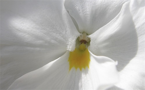 挖掘机行走齿轮拆,挖掘机行走时无法行走或无法挖土