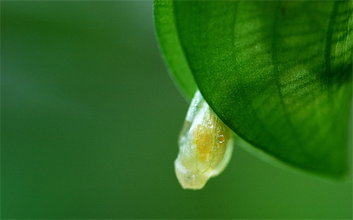 挖掘机行走齿轮拆,挖掘机行走时无法行走或无法挖土