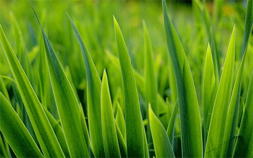 挖掘机行走齿轮拆,挖掘机行走时无法行走或无法挖土