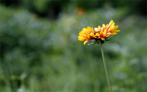 挖掘机行走齿轮拆,挖掘机行走时无法行走或无法挖土