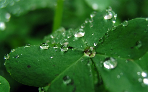 挖掘机行走齿轮拆,挖掘机行走时无法行走或无法挖土