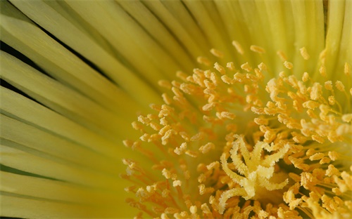 挖掘机行走齿轮拆,挖掘机行走时无法行走或无法挖土